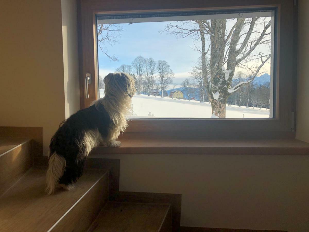 Haus Am Berg Daire Ramsau am Dachstein Dış mekan fotoğraf