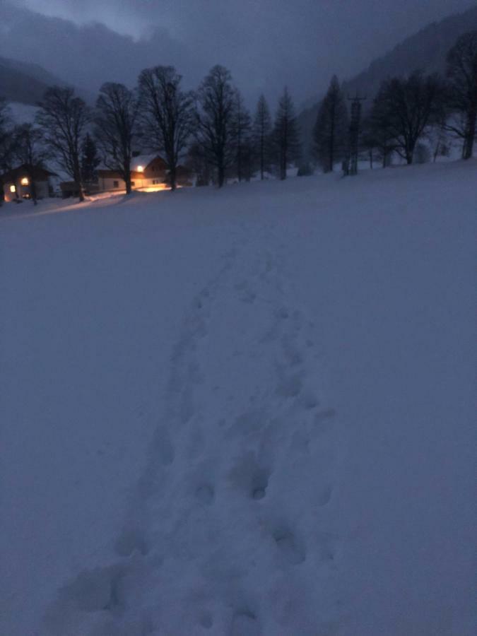 Haus Am Berg Daire Ramsau am Dachstein Dış mekan fotoğraf