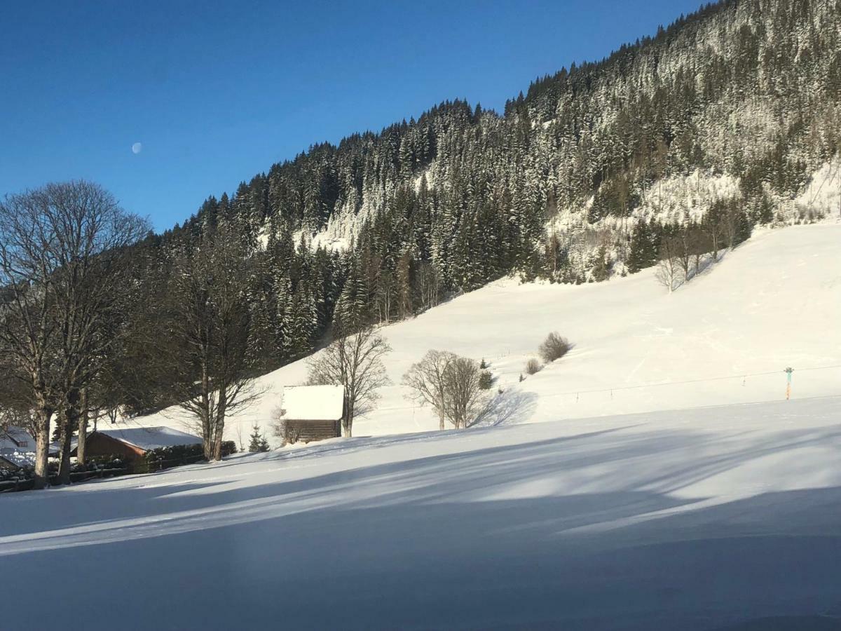 Haus Am Berg Daire Ramsau am Dachstein Dış mekan fotoğraf